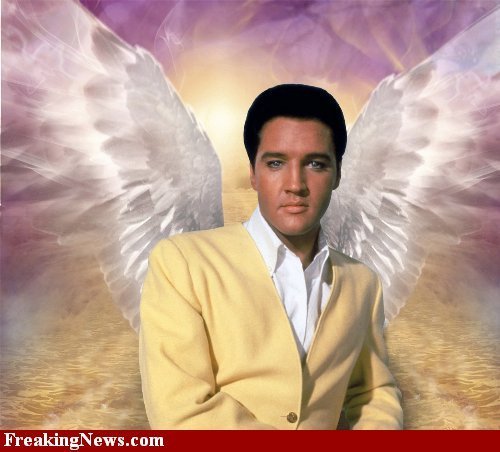 For My Dear Friend Paola ,Elvis The Angel  <3