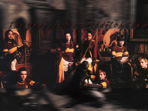  Gryffindor Team