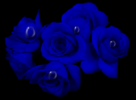  Blue Roses,Animated