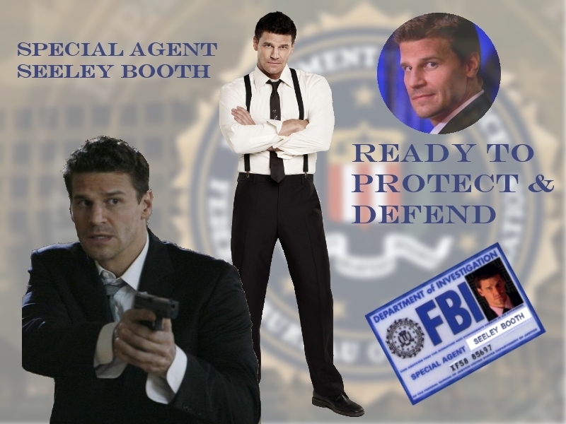 Seeley Booth Special Agent