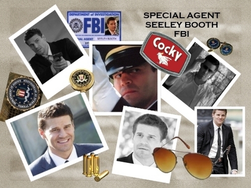  Special Agent Seeley Booth