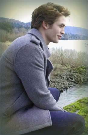 The Perfect Edward Cullen