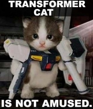  transformer kitty