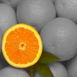 jeruk, orange