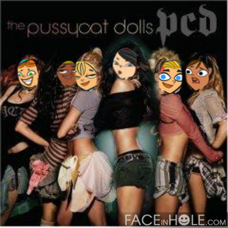  total drama pussy cats dolls