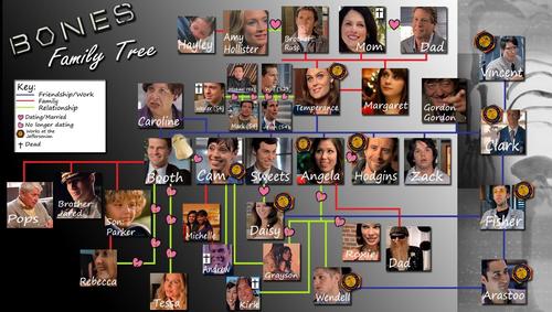  बोन्स Family Tree!