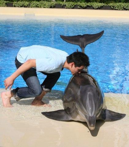 David With Dolphin