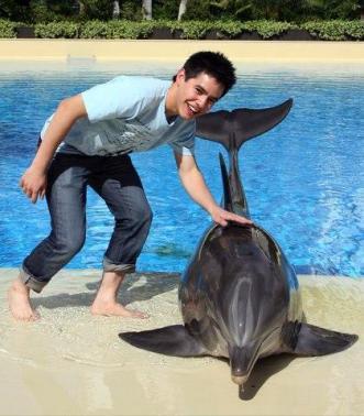  David With dolfijn