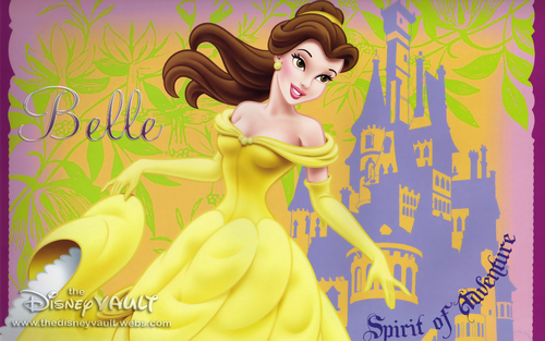 Disney Princess - Disney Princess Wallpaper (3426812) - Fanpop