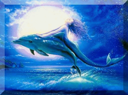 Dolphin Art