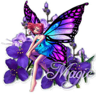  Fairie Magic