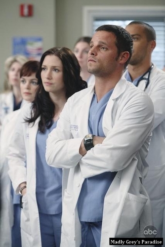  Grey's Anatomy - Episode 6.13 - State of 愛 and Trust - Promotional 写真