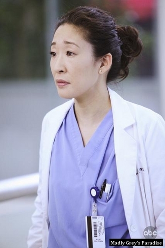  Grey's Anatomy - Episode 6.13 - State of amor and Trust - Promotional fotografias