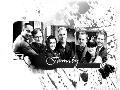  NCIS Family