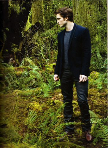  new moon movie pictures