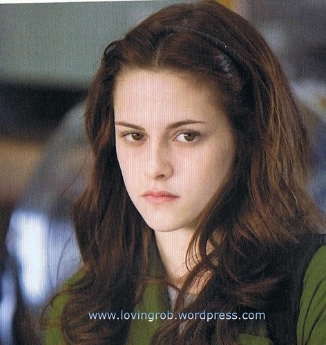  new/old picture in twilight