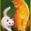 fireheart and cloudpaw brightclaw photo