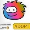 OMG!! A Rainbow Puffle! lugia1112 photo