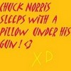 Chuck Norris is awesome. XD sakono photo