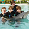 swimin with da dolphins cuddels56 photo