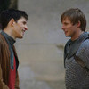 A beauiful pic! heartmerlin2 photo