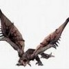 wyvern of the sky Super_17 photo