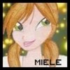 First sketch of Miele Elie_star photo