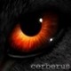 Cerberus's photo