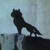 a wolf on a cliff K5-HOWL photo