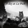 A day at La Push littletwilight photo