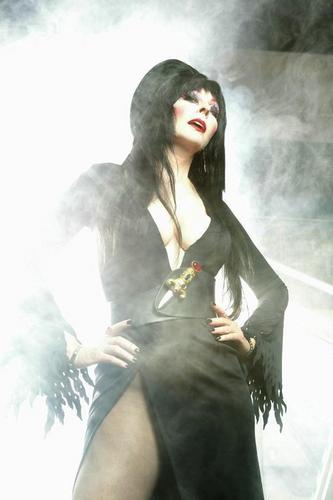  Elvira Image
