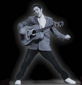  Elvis: the king of rock'n'roll