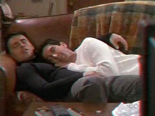 Friends Joey and Ross