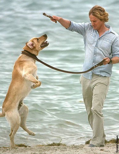  Marley and Me
