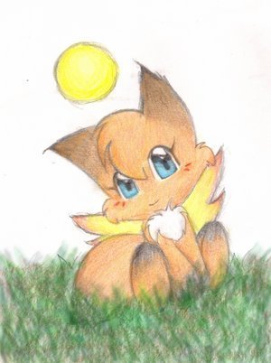  vos, fox chao