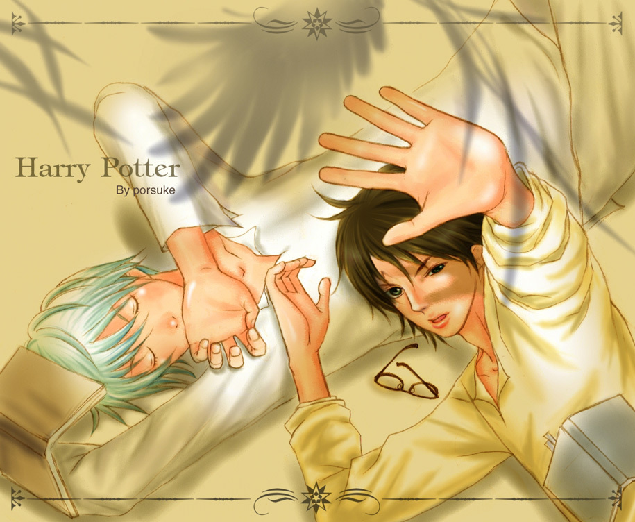  Harry & Draco: Phoenix