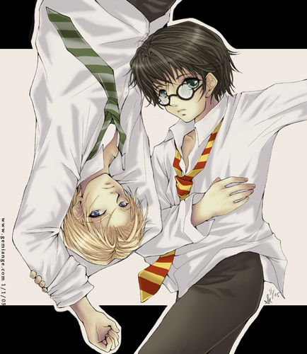  Harry & Draco