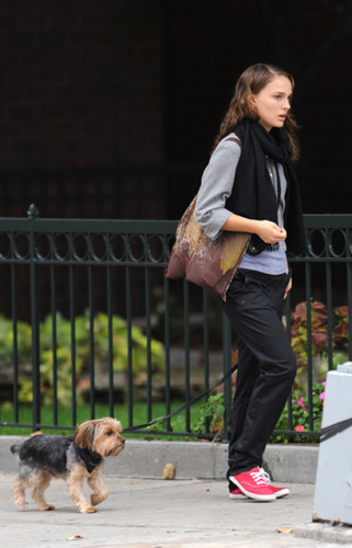  Natalie Portman walking her dog in LA (Nov 5th)