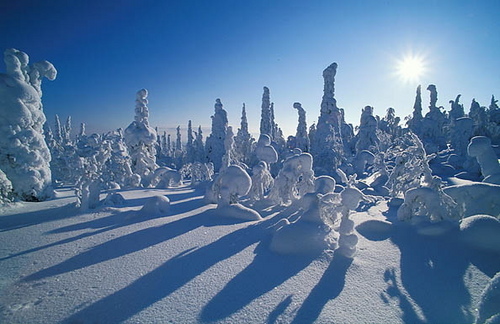  Pictures of Kuusamo