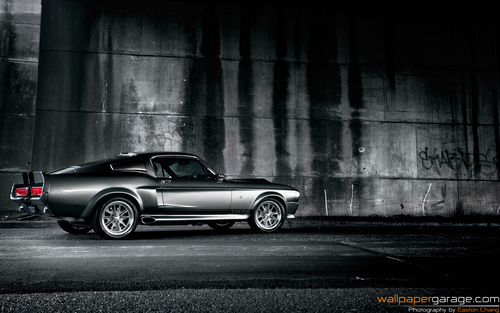  Shelby 野马 GT500