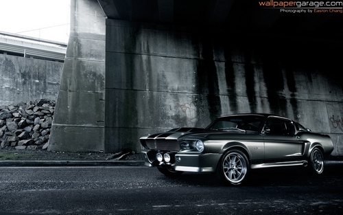  Shelby мустанг GT500