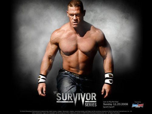  Survivor Series 2008