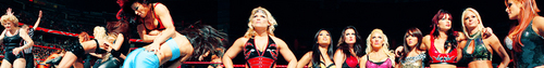  WWE Divas banner