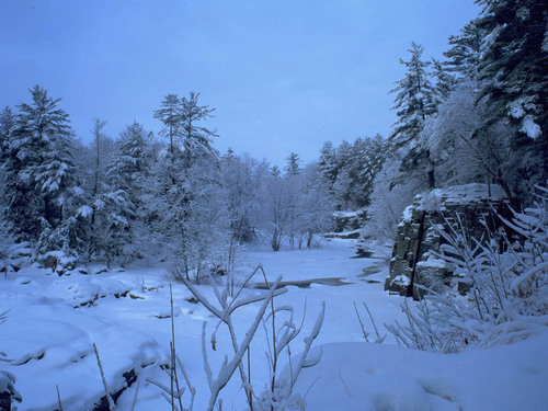  Winter Scene