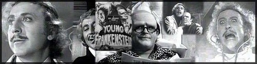  Young Frankenstein