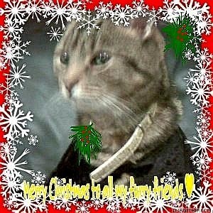  "Meow ...Merry Christmas To All My Furry Friends" from Jasper