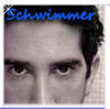  David Schwimmer