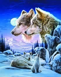 Moonlight  Wolves