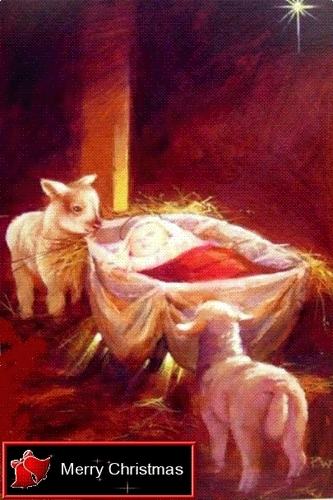  Nativity ...Baby Иисус (Christmas 2008)