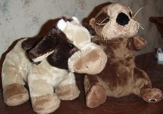  New Webkinz of November 2008: Brown Cow and Sea lontra